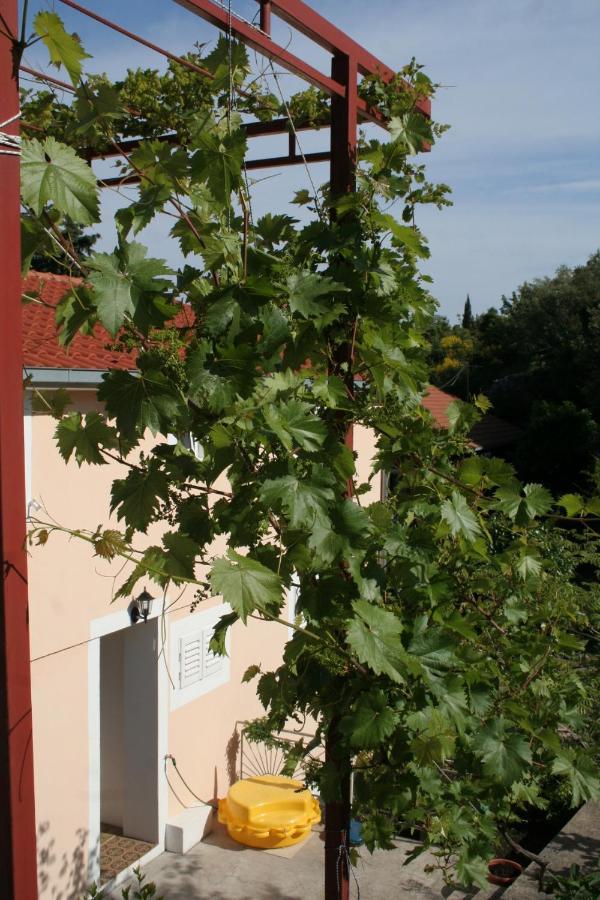 Apartments By The Sea Trpanj, Peljesac - 257 外观 照片